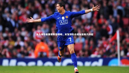 哈哈体育_青岛海牛新赛季阵容揭晓，肖智领衔众将加盟助力冲超